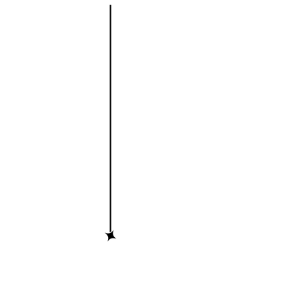 Ray Logo-white
